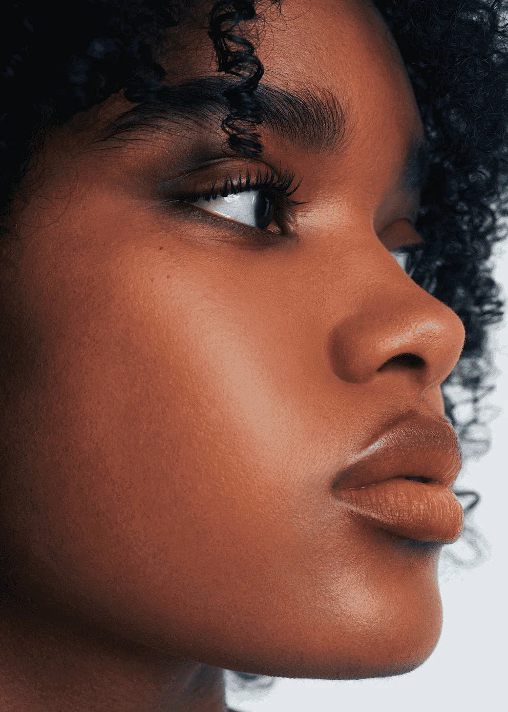 ABOUT THE FACE