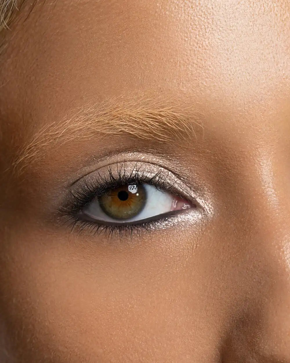 Fractal Eye Paint